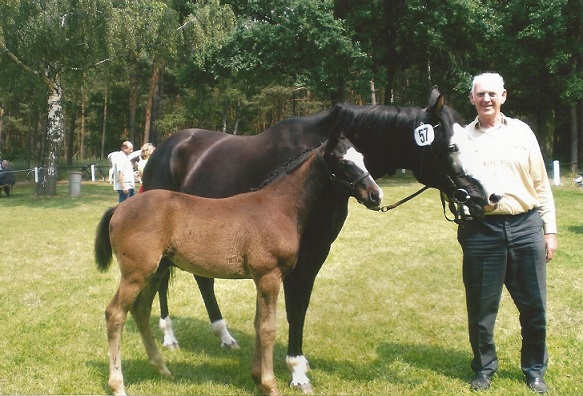 Heinz Sauermilch mit der Zuchtstute "Caprisonne SB" und ihrem Hengstfohlen "Lord Capri SB" Heinz Sauermilch mit der Zuchtstute "Caprisonne SB" und ihrem Hengstfohlen "Lord Capri SB"